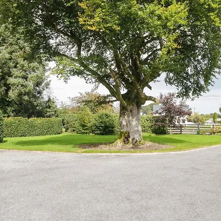 Forest House Tuam